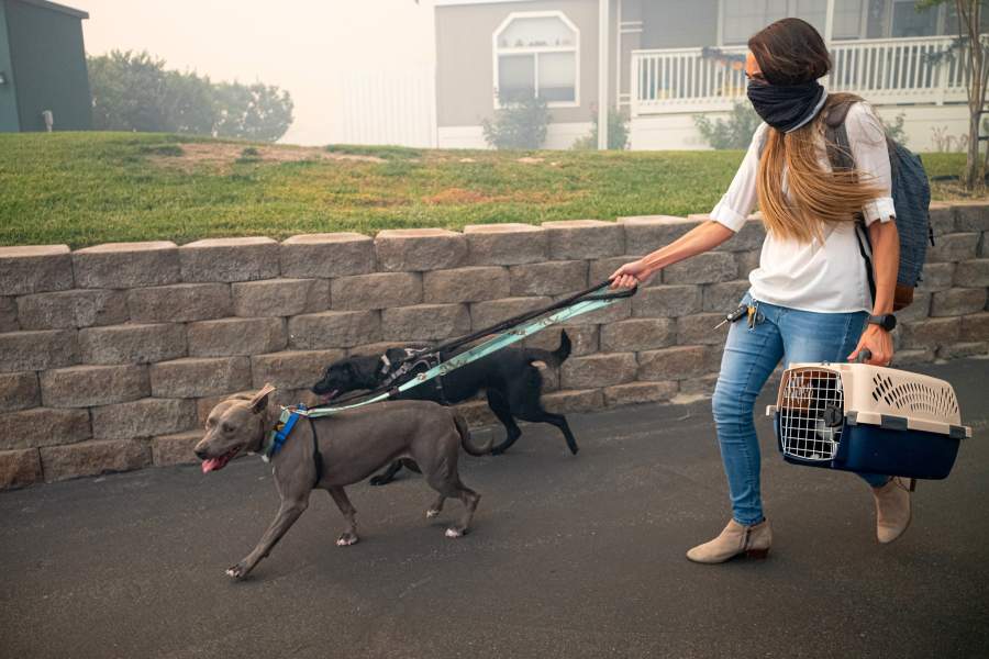 Лесные пожары в Калифорнии