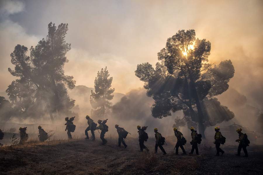 Лесные пожары в Калифорнии
