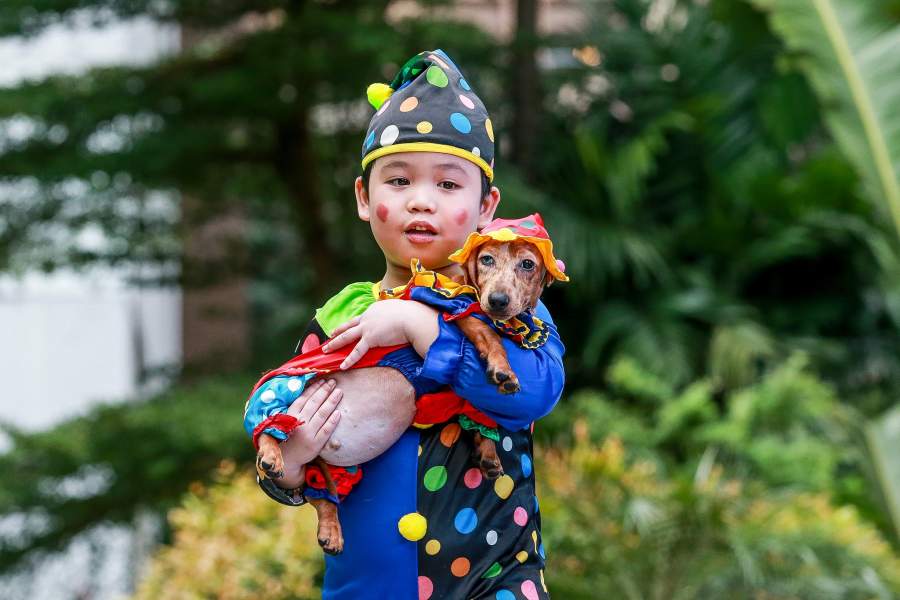 Праздник «Хеллоуин»