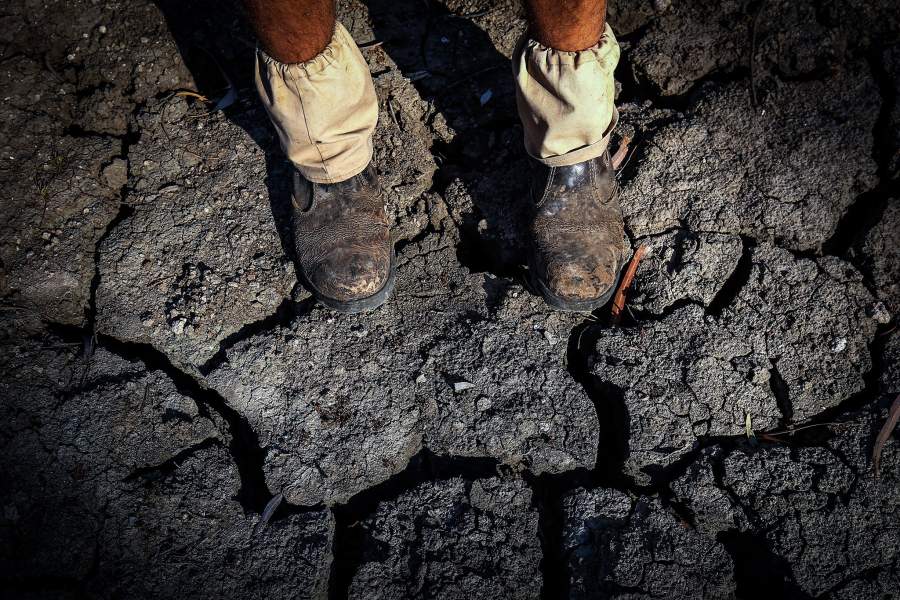 Река Дарлинг в Австралии высыхает