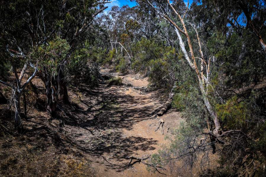 Река Дарлинг в Австралии высыхает