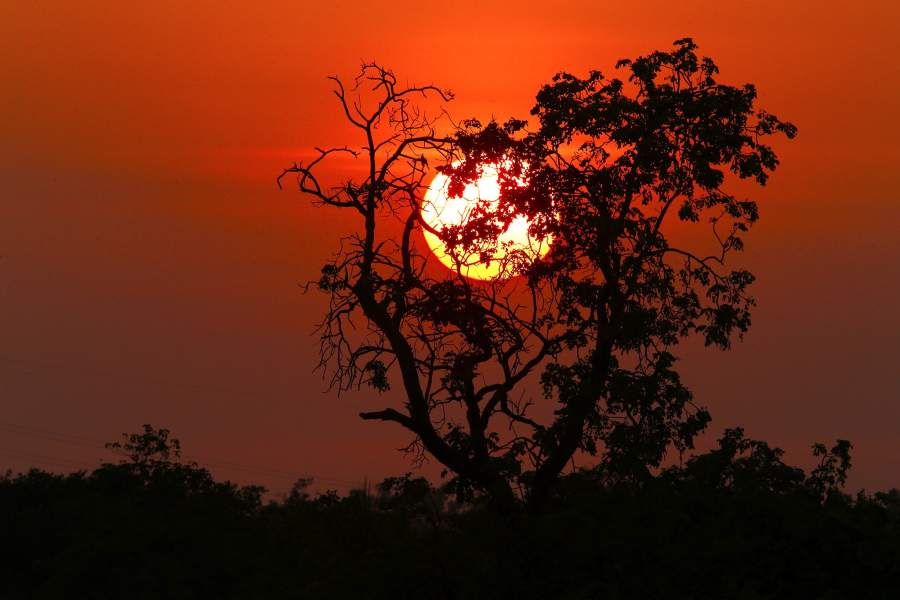 Гонки автомобилей на солнечных батареях в Австралии