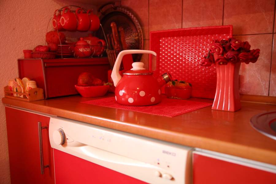 Боснийка Зорика Реберник вот уже 50 лет одержима красным цветом