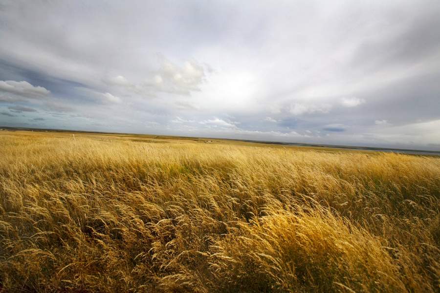 Фолклендские острова