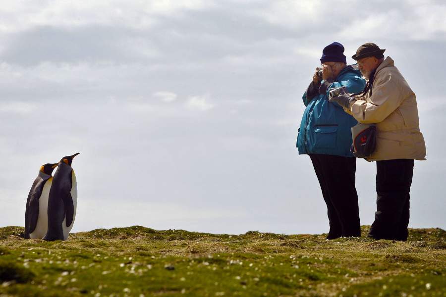 Фолклендские острова