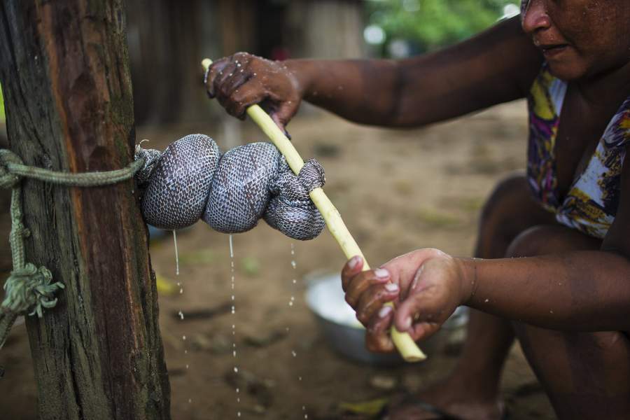 Племя Каяпо