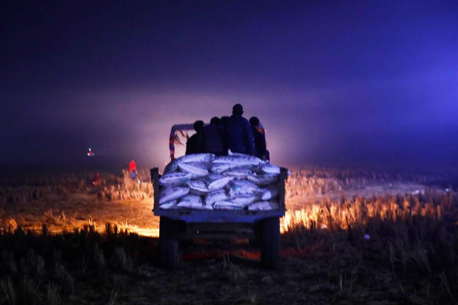 Фестиваль Гадхимаи