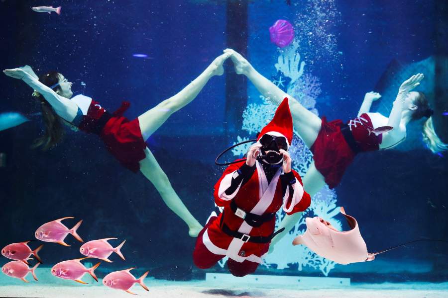 Рождественские дайверы