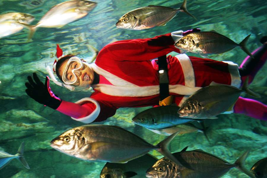 Рождественские дайверы