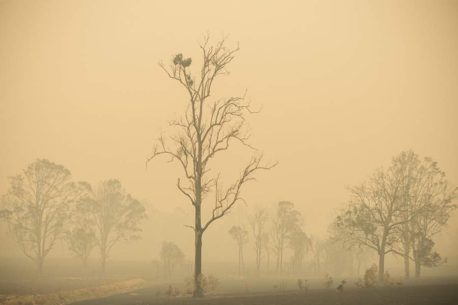 Смог над Сиднеем