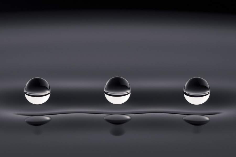 Фотоконкурс «Научное фото года»