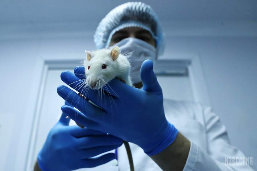 В одной из лабораторий Московского государственного медицинского университета им. И.М. Сеченова