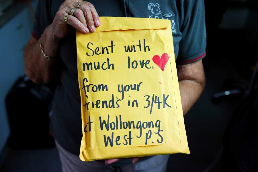 Госпиталь для коал в Австралии