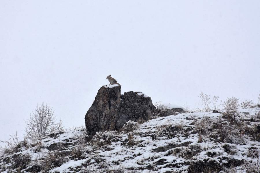 Зима в Турции