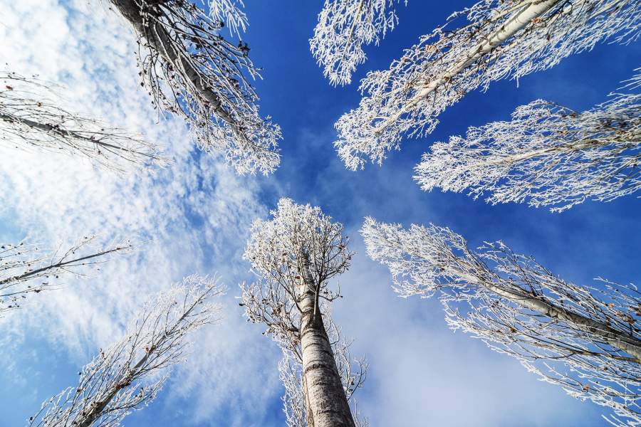 Зима в Турции