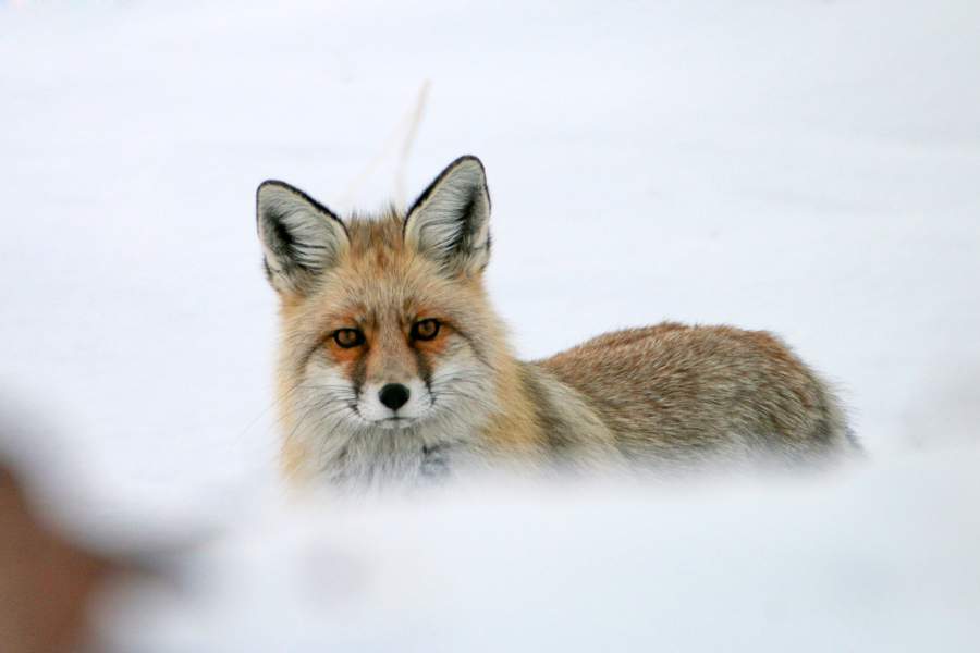 Зима в Турции
