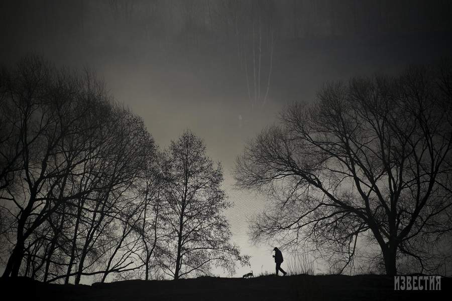 Набережная Москвы-реки в микрорайоне Павшинская пойма