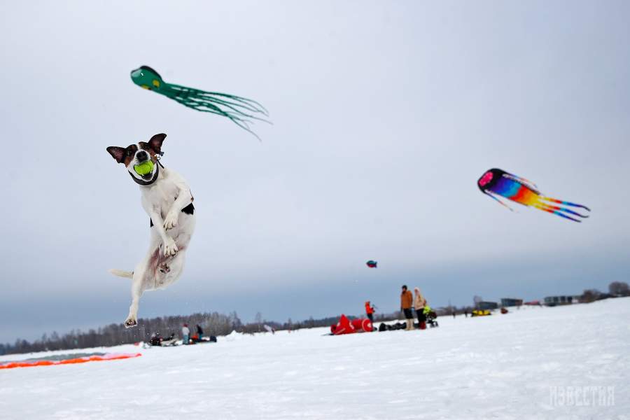Фестиваль воздухоплавания Konakovo Sky Fest – 2019