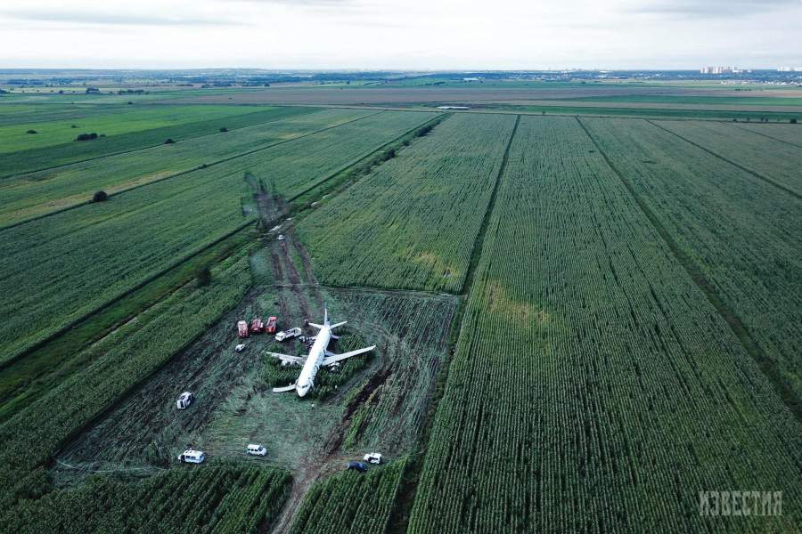 Самолет авиакомпании «Уральские авиалинии» после экстренной посадки на кукурузном поле недалеко от подмосковного аэропорта Жуковский