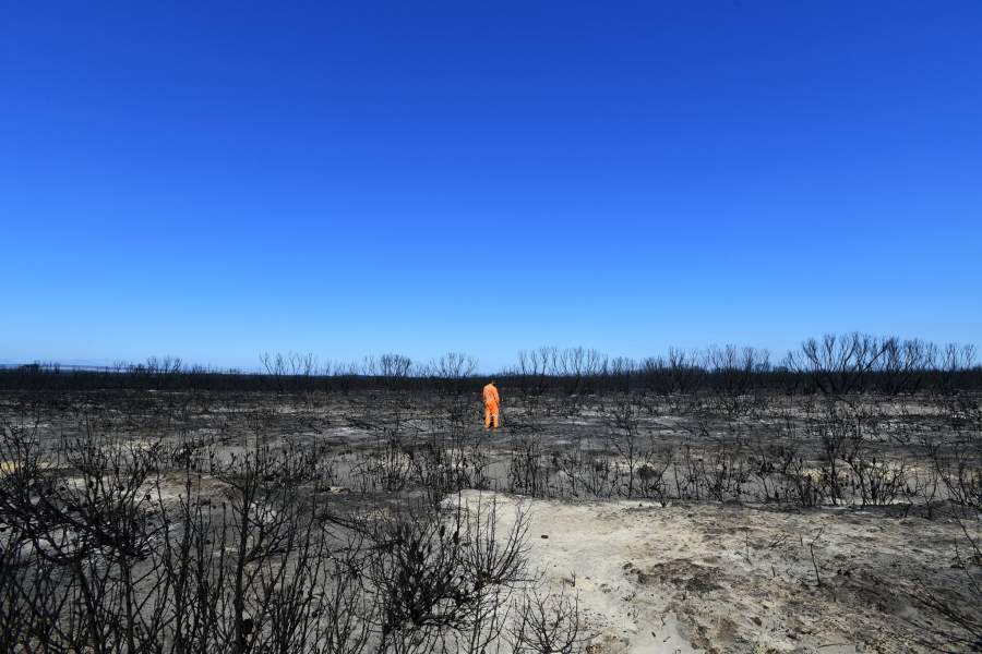 Лесные пожары в Австралии