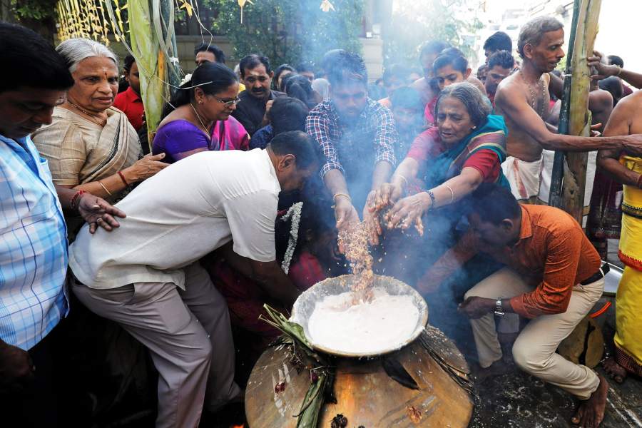 Праздник урожая Тай Понгал на Шри-Ланке