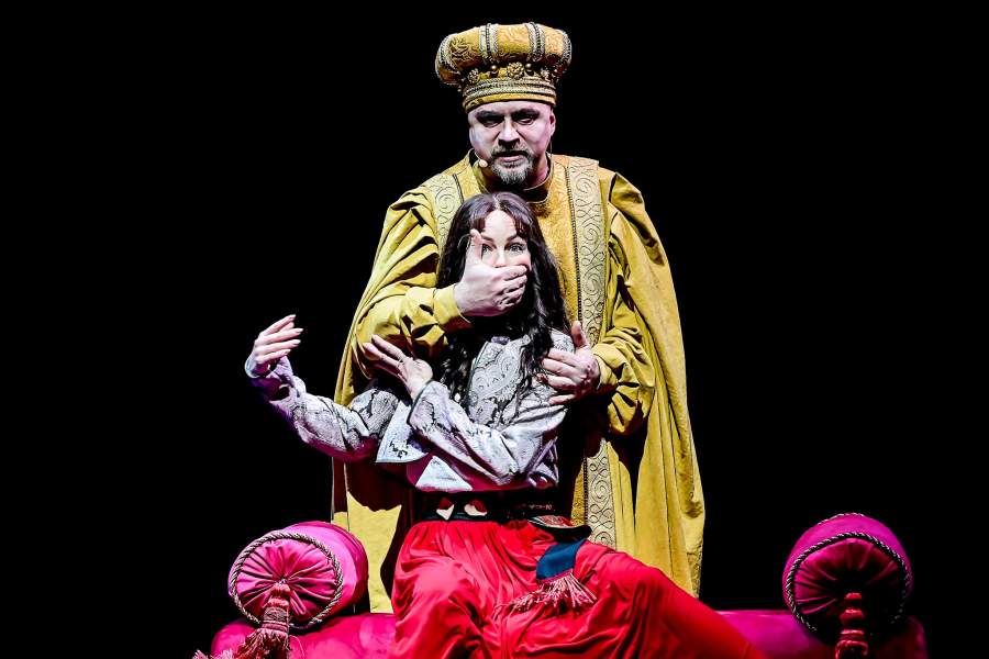 Спектакль «Хроники Нарнии. Конь и его мальчик»