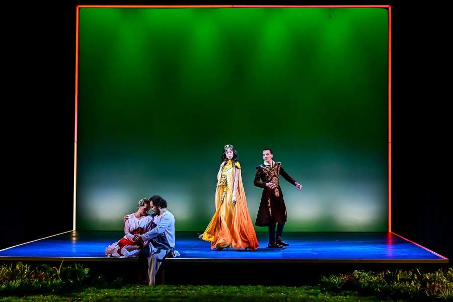 Спектакль «Хроники Нарнии. Конь и его мальчик»