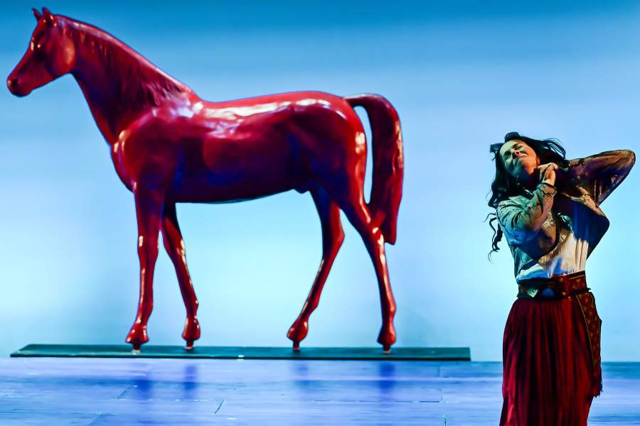 Спектакль «Хроники Нарнии. Конь и его мальчик»