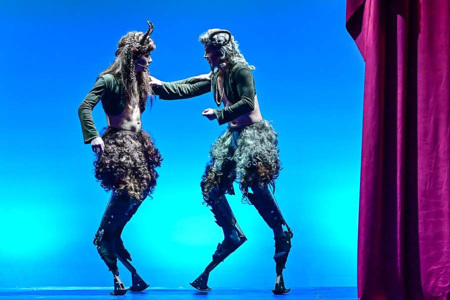 Спектакль «Хроники Нарнии. Конь и его мальчик»