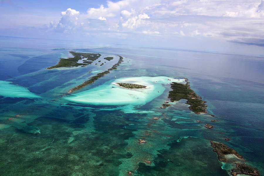 Остров свиней на Багамах