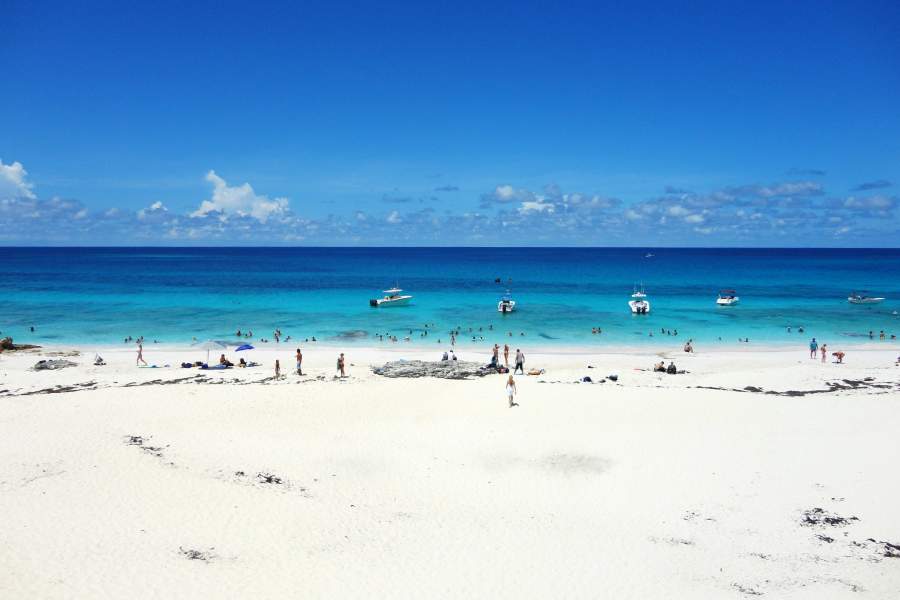 Остров свиней на Багамах