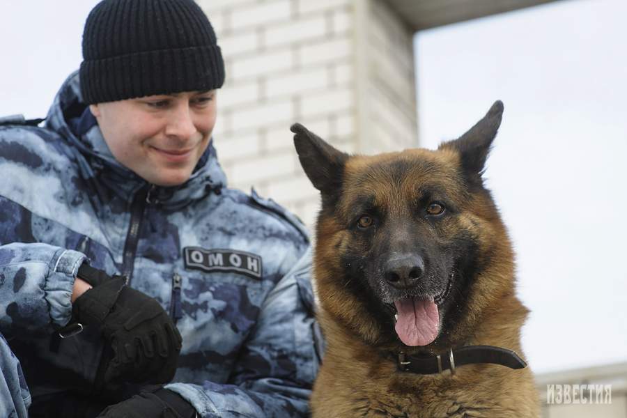 Сотрудник Росгвардии