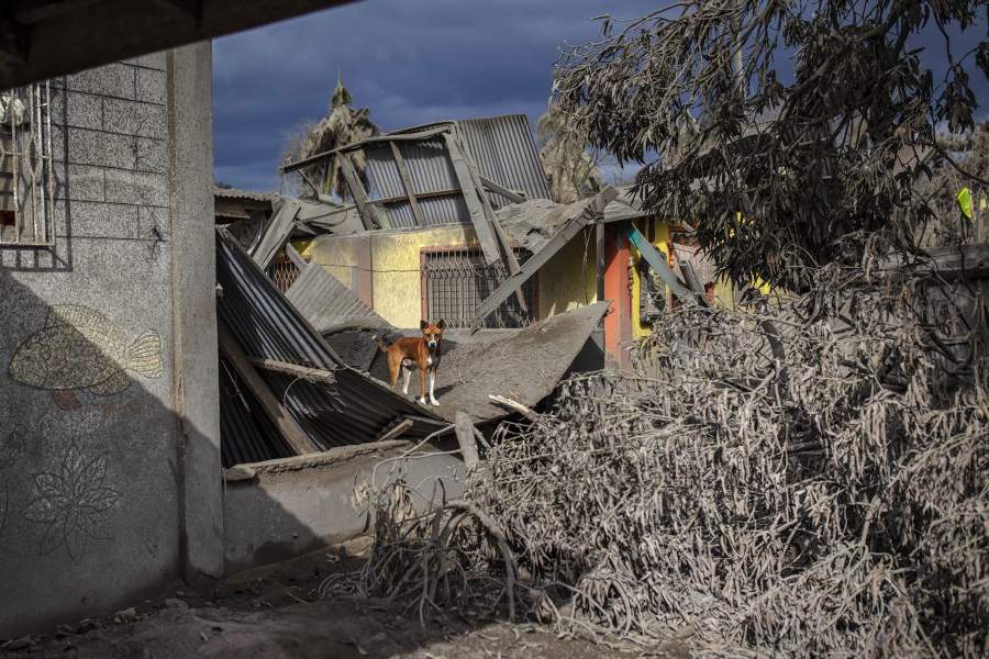 Вулкан Тааль (Филиппины)