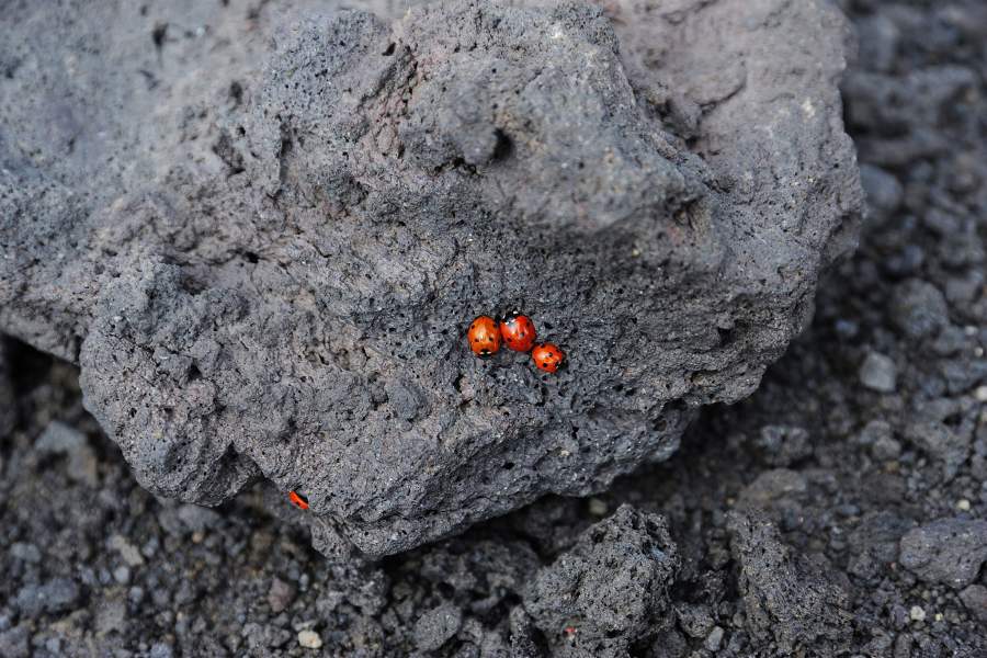 Вулкан Этна (Италия)