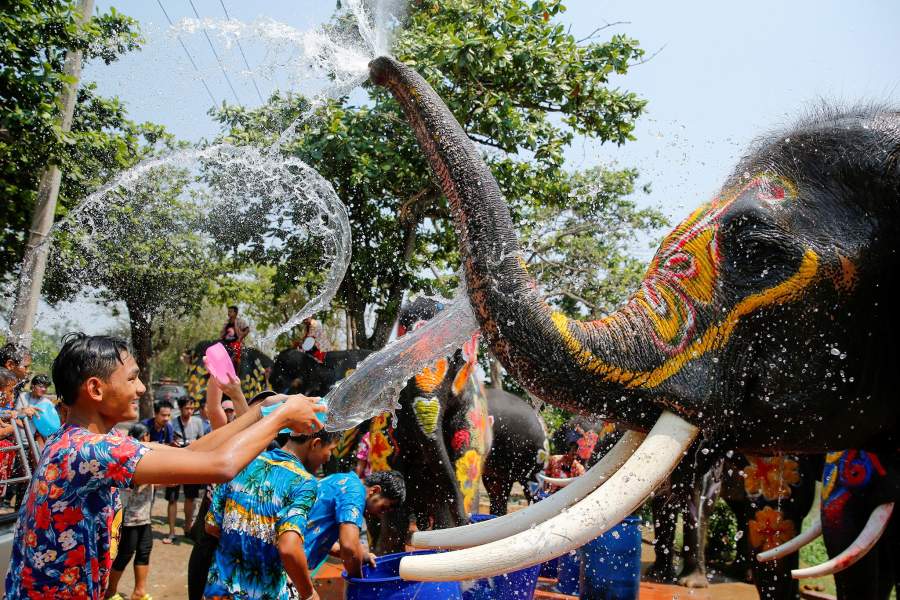 Национальный день тайского слона