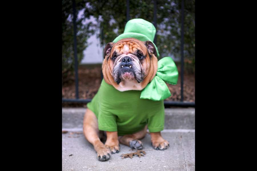 День святого Патрика