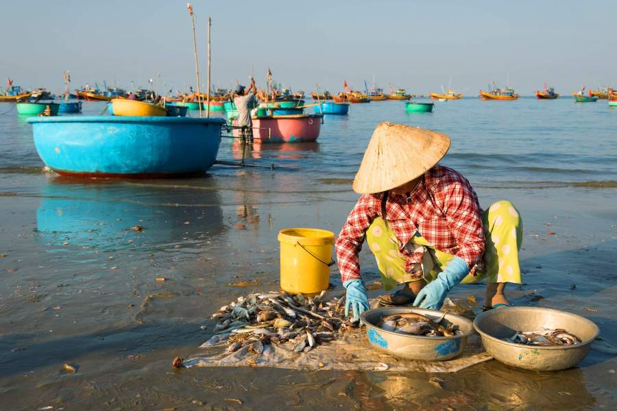 Рыбацкий пляж Муйне