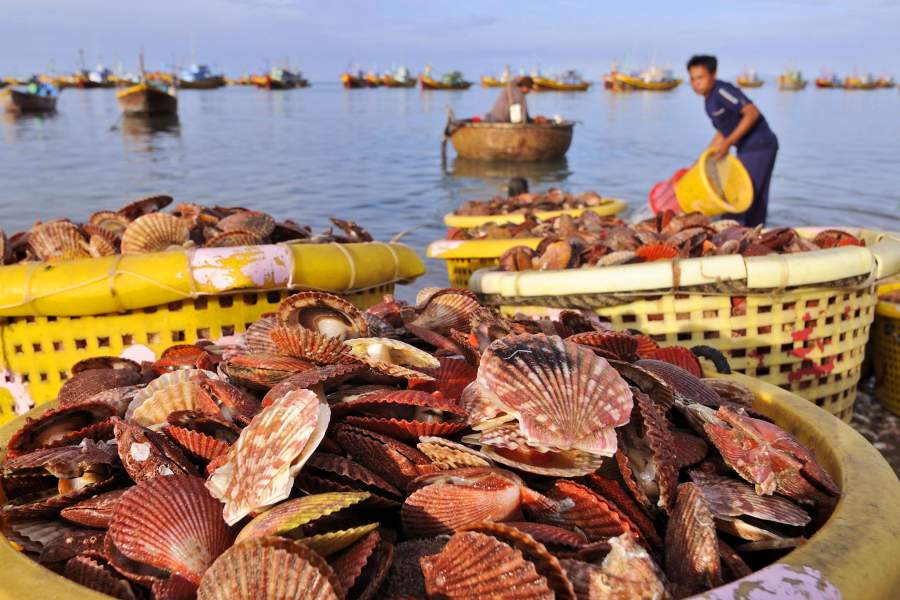 Рыбацкий пляж Муйне