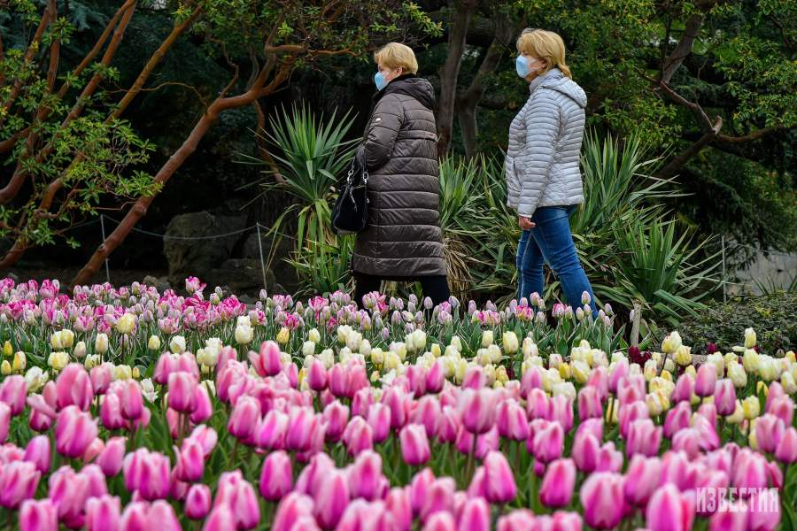 Парад тюльпанов в Никитском ботаническом саду (Ялта)