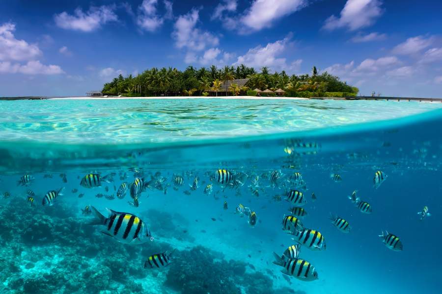 Подводный мир