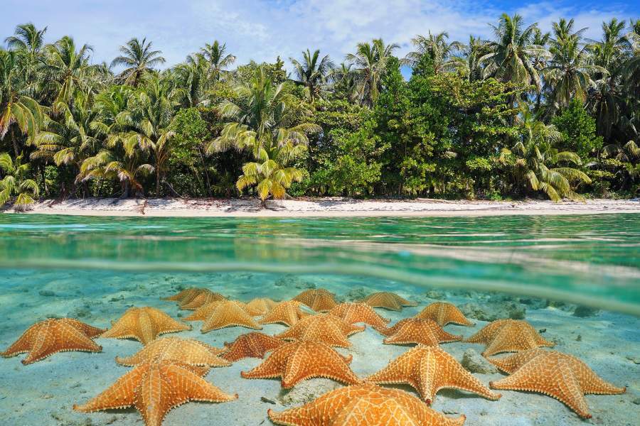 Подводный мир