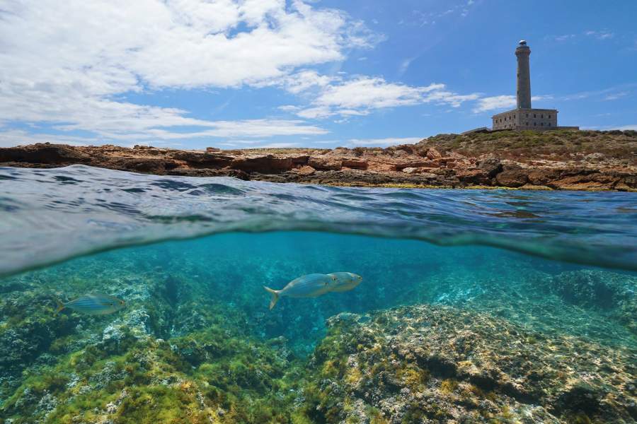 Подводный мир