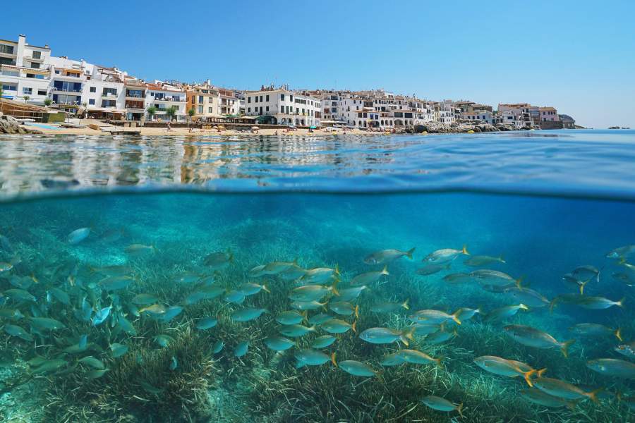 Подводный мир