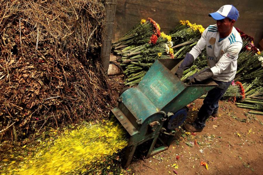 Уничтожение цветов на продажу