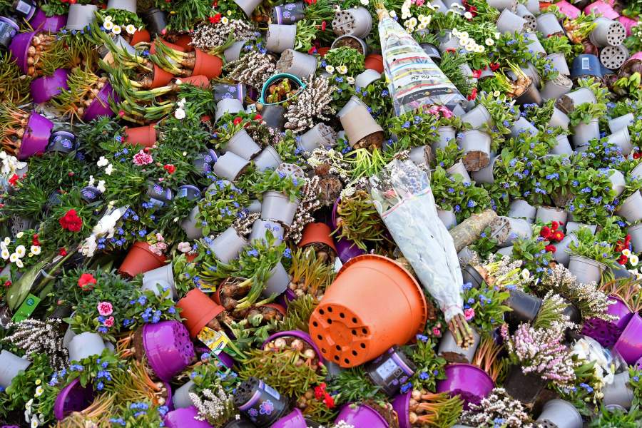 Уничтожение цветов на продажу