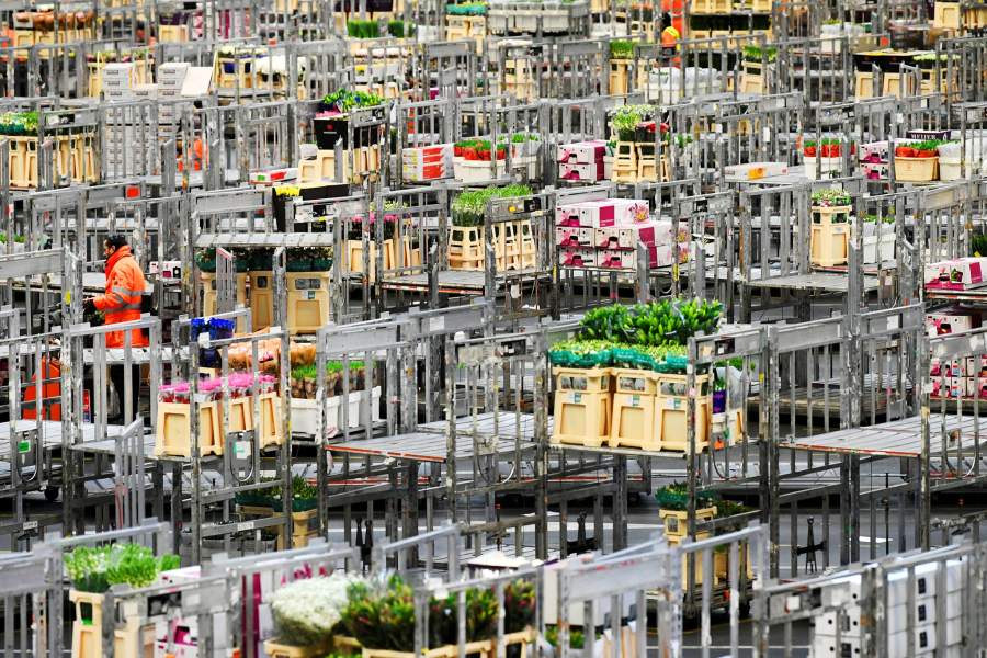 Уничтожение цветов на продажу