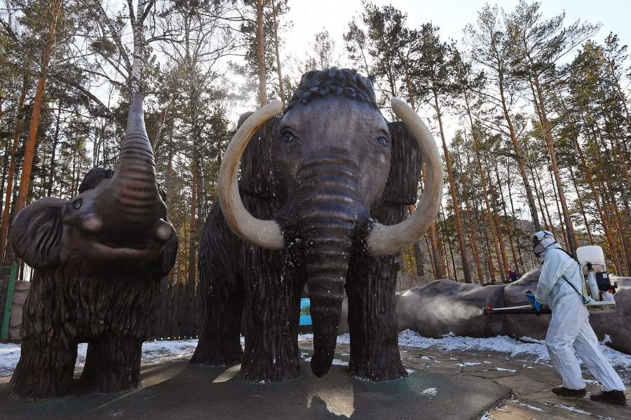 Красноярск на карантине