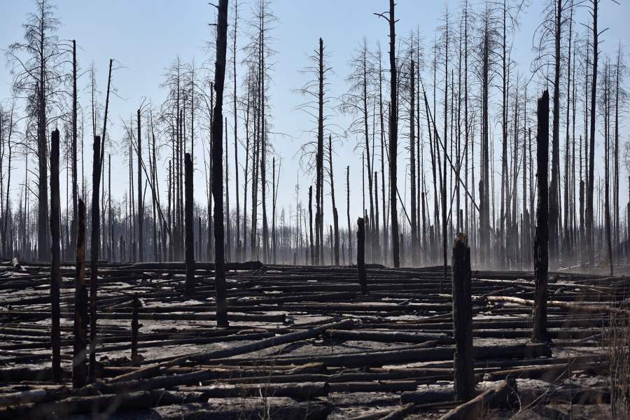 Пожар в зоне отчуждения Чернобыльской АЭС