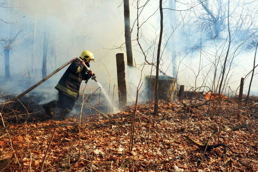 Пожар в зоне отчуждения Чернобыльской АЭС