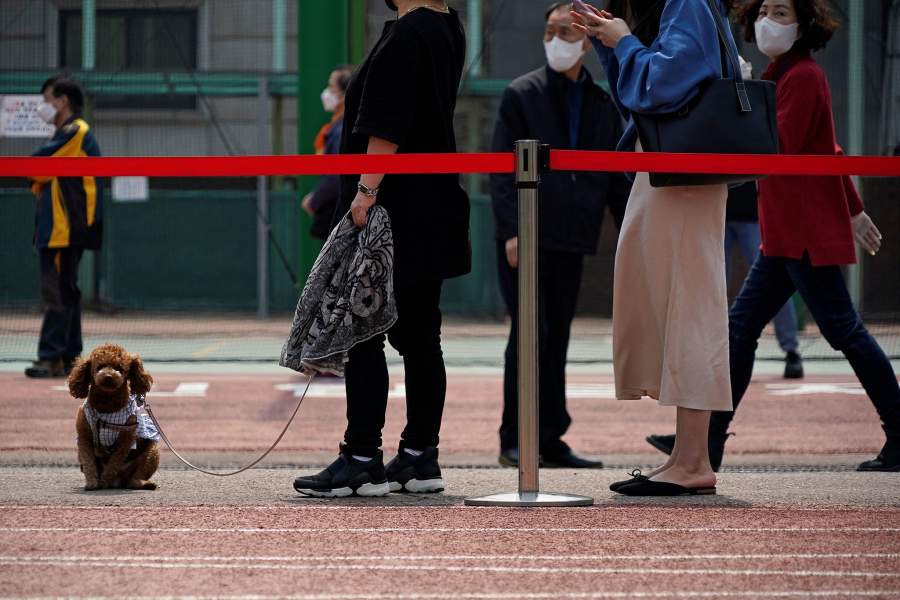 Выборы в Корее